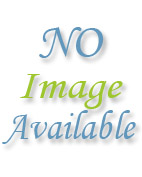 Click here to purchase this book